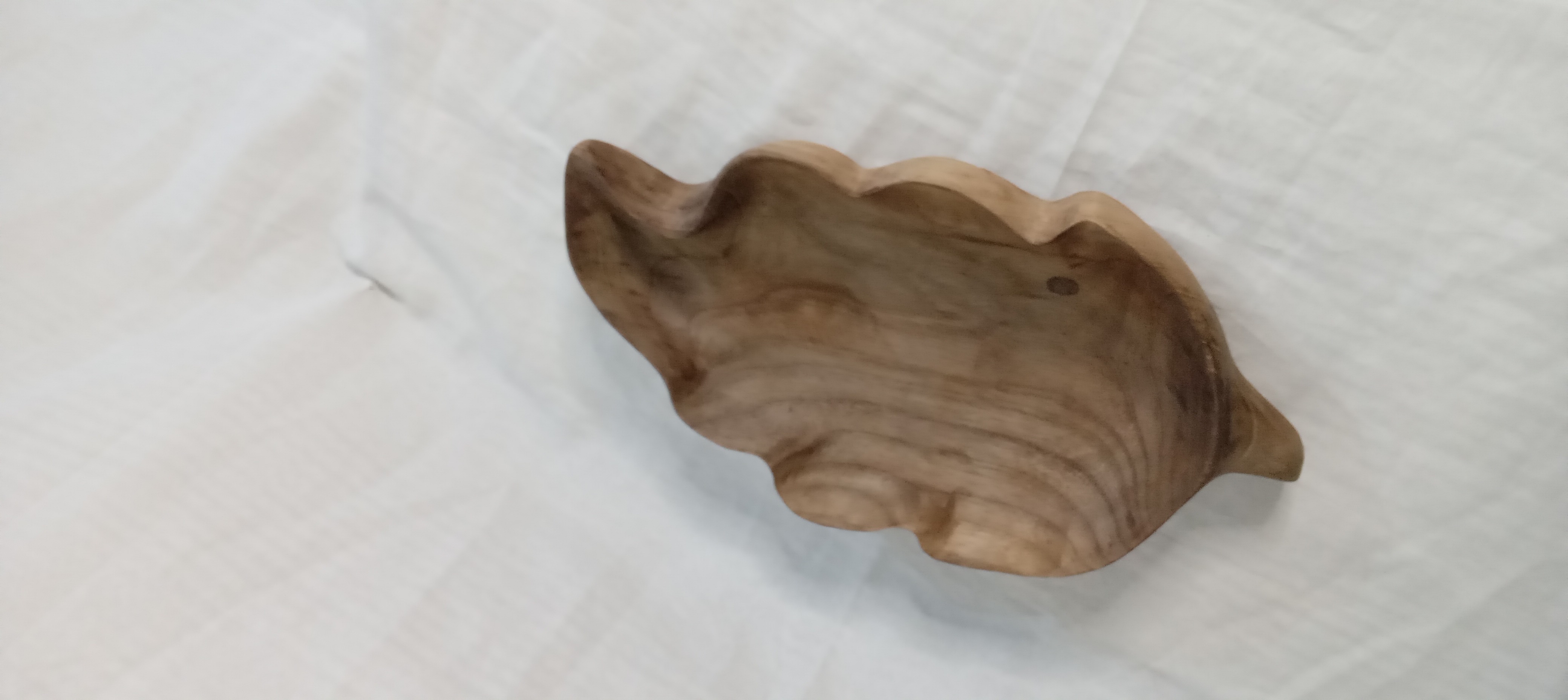 آجیل خوری طرح برگ